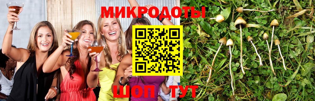 Псилоцибиновые грибы Psilocybine cubensis Зеленодольск