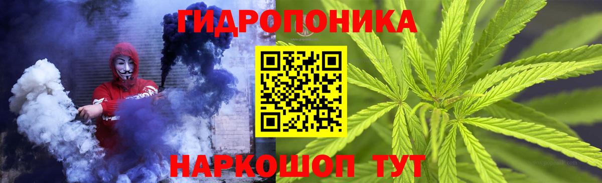 Зеленодольск  Каннабис план  Вход с VPN  МАРИХУАНА OG Kush  Канабис индика  Марихуана ГИДРОПОН 